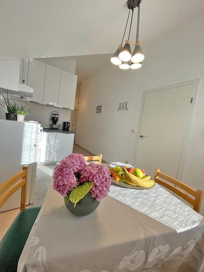 Studio Apartments Andrijana 米利尼 外观 照片